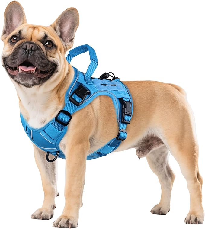 WINGOIN Blue Tactical Dog Harness for Small Dogs,No Pull Dog Harness | with Handle,Adjustable Reflective,Military K9 Style,Big Size Dog Vest,for German Shepherd,for Walking Training Hunting