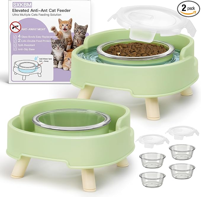 2 Pack Ant Not Cross Elevated Cat Bowls Mess Proof-4 Food Grade Glass Bowls & 2 Lids- No Spill Cat Food and Water Feeding Station for Cats&Puppy Indoor & Outdoor,No Whisker Fatigue Dish,Green