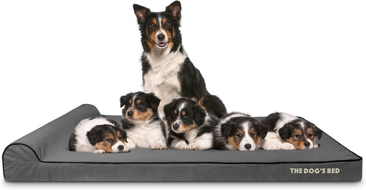 The Dog’s Bed Orthopedic Headrest Dog Bed XXXL Grey/Black 64x44, Memory Foam, Pain Relief for Arthritis, Hip & Elbow Dysplasia, Post Surgery, Lameness, Veterinary Approved, Waterproof Washable Cover