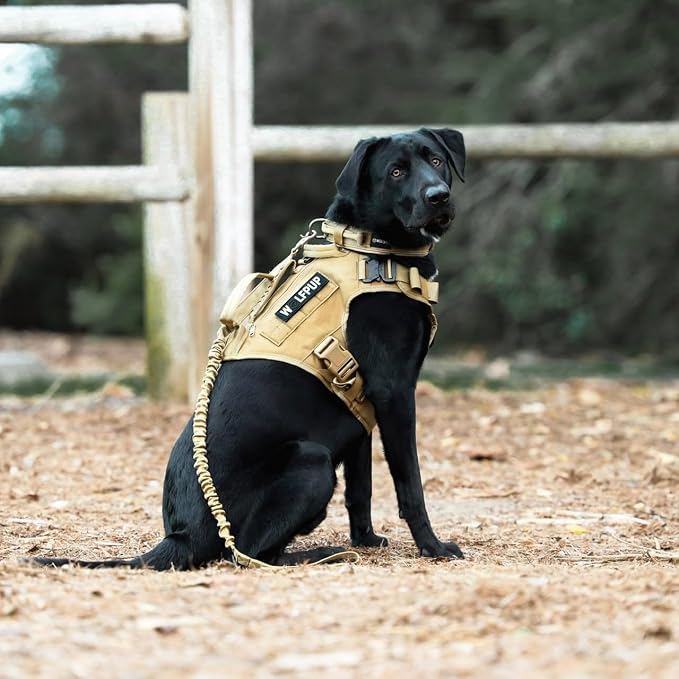 WOLFpak Tactical Dog Vest Harness No Pull Breathable MOLLE(Khaki, Large) | Dual Grab Handles, 1000D Nylon, Four-Point Adjustment, MOLLE Attachment Panels, Three Storage Pockets, Metal Alloy Buckles