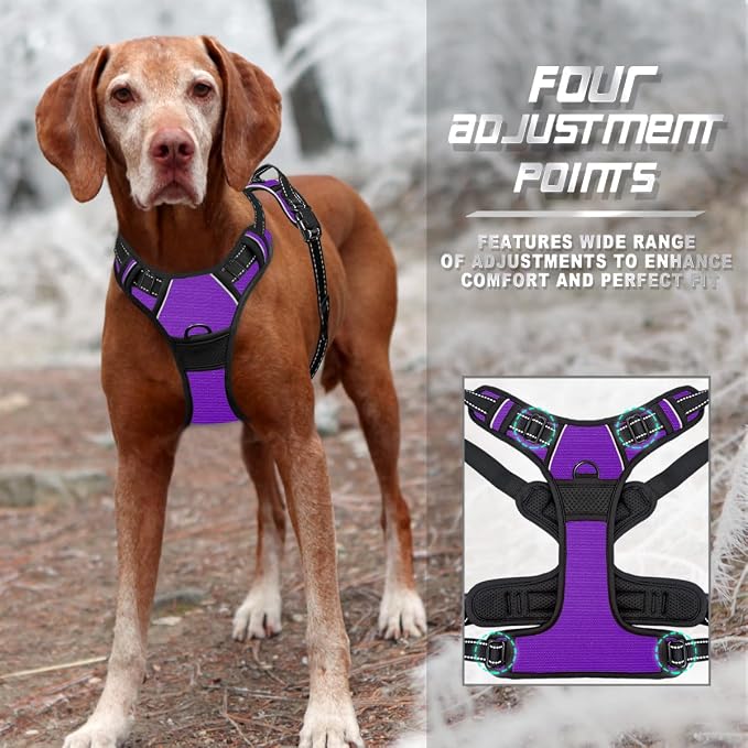 BARKBAY No Pull Dog Harness Front Clip Heavy Duty Reflective Easy Control Handle for Large Dog Walking(Purple,M) | Soft Padded No Choke With Handle,Easy On&Off,Adjustable Reflective For Walking Training Running(Purple,M)