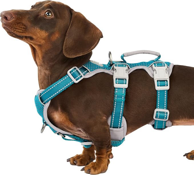 Escape Proof Dog Harness, Escape Artist Harness, Fully Reflective Harness with Padded Handle, Breathable, Durable, Adjustable Vest for Small Dogs Walking, Training, and Running Gear (Teal,S)