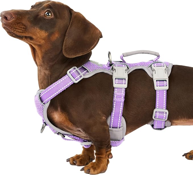 Escape Proof Dog Harness, Secure Dog Harness No Escape,Fully Reflective Harness with Handle,Breathable,Durable,Adjustable Vest for Small Dogs Walking,Training & Running Gear(Lavender Purple,S)