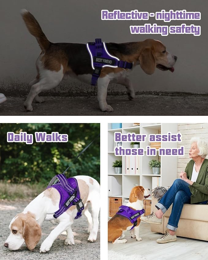 AUROTH Dog Harness and Leash Set for Medium Sized Dog, No Pull Dog Vest | with 5.25FT Dog Leash, Breathable Soft Padded, No choke, Reflective Tactical, Easy to Put on & Take Off - Purple Medium