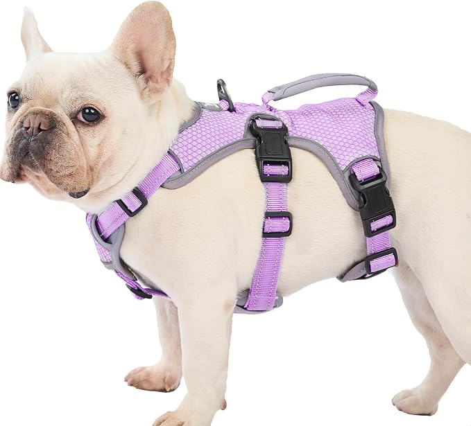 Escape Proof Dog Harness, Dachshund Harness, Reflective Dog Harness with Handle, Durable,Adjustable Vest for Small Medium Large Dogs Walking, Training, and Running Gear (Lavender Purple,M)