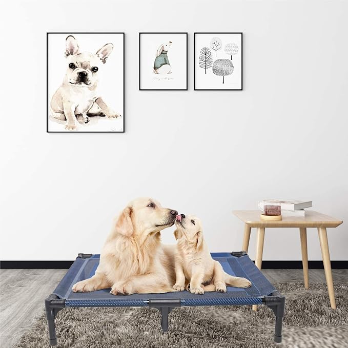 Elevated Dog Bed Waterproof Outdoor, Portable Raised Dog Bed, Dog Beds Off the Floor, Dogs Bed Easy Clean Indoor or Outdoor Use, Medium, Blue