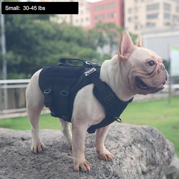 ICEFANG No Pull Tactical Dog Harness for Small Dogs,Adjustable Dog Vest | Control Handle,MOLLE Panel,Front Hook,3 Leash Clips,Soft Padded,for walking training,Black,Small