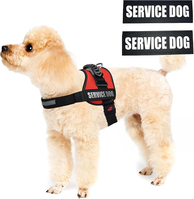 Service Dog Vest Harness – Reflective Service Animal Vest with Handle, No-Pull Adjustable Mesh Padding – XXS–XL – 2 Removable Patches (Large, Red)
