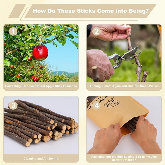 900g Apple Sticks Wood Chew Sticks Toys for Rabbits Chinchillas Guinea Pigs Hamsters Bunny Molar Chew Treats Toys for Teeth, Small Animals Snacks