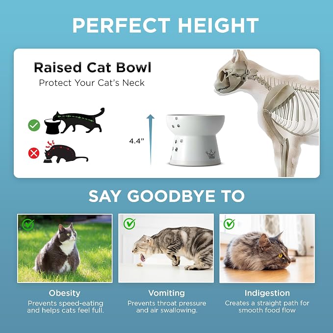 Necoichi Raised Cat Food Bowl – Ceramic Elevated Cat Bowl for Whisker & Neck Fatigue, Dishwasher Microwave Safe – Non-Slip & Anti Vomiting Ergonomic Design (Cats, Large Flat)