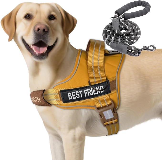 AUROTH Dog Harness and Leash Set for Large Sized Dog, No Pull Dog Vest | with Leash Clips, LED light clip, Soft Padded No Choke, Escape Proof, Easy Walking and Training, Turmeric-, XL
