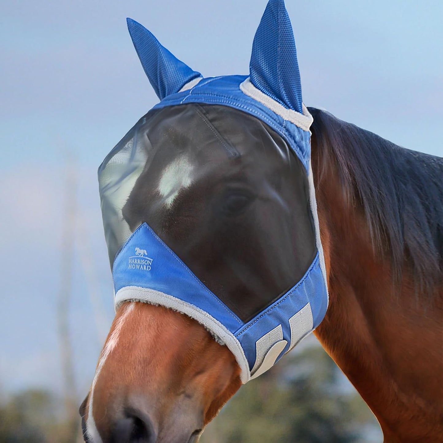 Harrison Howard CareMaster Pro Luminous Fine Mesh UV-Proof Fleece Padding Fly Mask Half Face Aquamarine (XL; Extra Full)