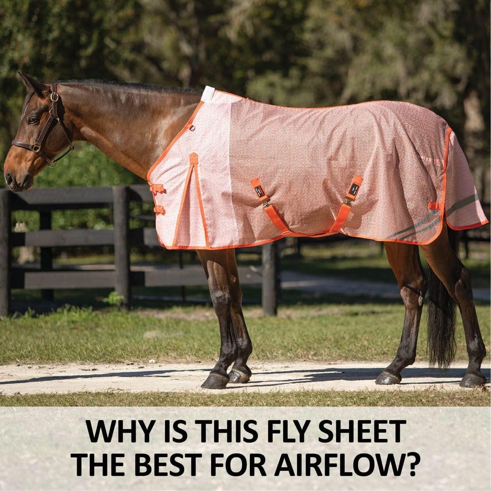Schneiders Ripstop Nylon Mesh II Horse Fly Sheets | Optimal Airflow & UV Protection