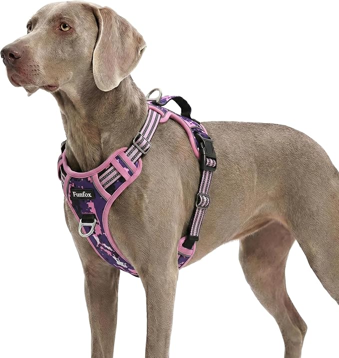 Dog Harness No Pull, Adjustable Pet Vest Harness, Super Soft Material with Vertical Handle Easy Control, Reflective Night Walking, 2 Leash Clips for XLarge Dogs, Mosaic Pink, XL