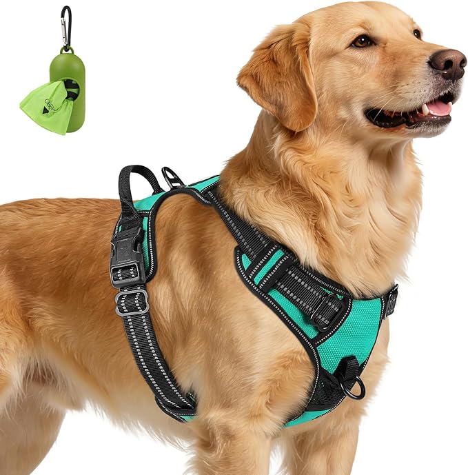 Joytale No Pull Dog Harness for Extra Large Dogs, Front Clip, Teal | Grab Handle for Instant Control, Padded & Adjustable Vest, Sturdy Metal D-Rings, for Safe Training & Daily Walking