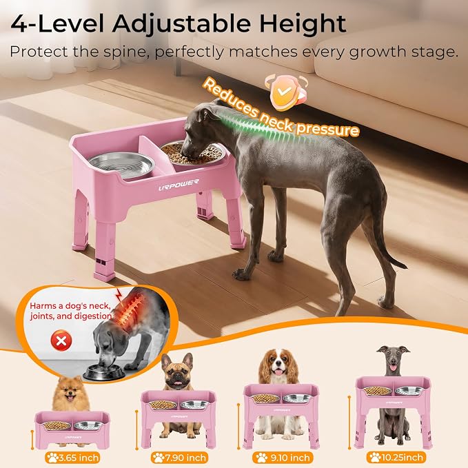 URPOWER Mess Proof Elevated Dog Bowls, Splash Guard Raised Bowl Stand | 4 Adjustable Heights, 2 Stainless Steel Bowls, Food & Water Separation, Non-Slip Base, Foldable Design for Small Dogs
