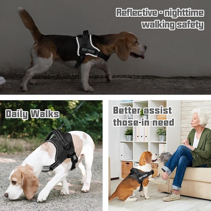 AUROTH Dog Harness and Leash Set Small Sized Dog, No Pull Escape Proof Vest | with Leash Clips, LED light clip, Breathable Mesh Padded No Choke, Easy Walking and Training, Black, Small