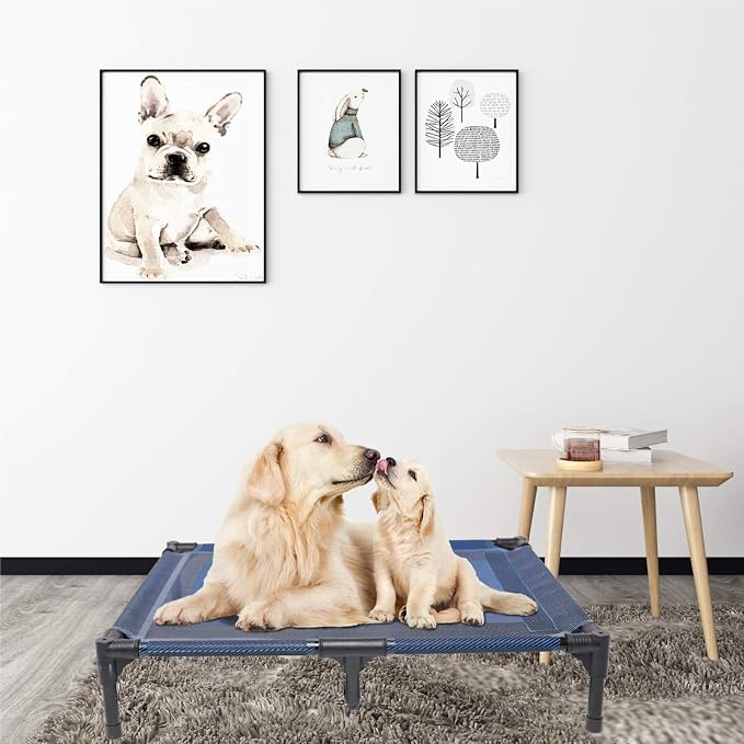 Elevated Dog Bed for Medium Dogs, Dual Support Cooling Cot with Teslin Mesh, Portable Waterproof Pet Bed for Indoor/Outdoor Use, Large, 36x30x7 Inch, Blue