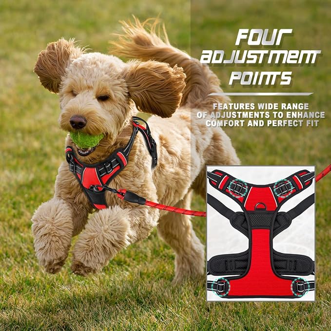 BARKBAY Dog Harness No Pull for Small Sized Dog Front Back Clips,Dog Vest | Soft Padded No Choke With Handle,Easy On&Off,Adjustable Reflective For Walking Training Running(Red,XS)