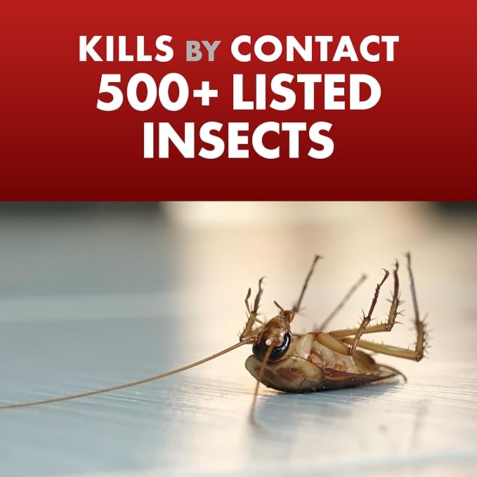 Spectracide One-Shot Home Insect Control AccuShot Refill, 1 Gallon, Fast-Drying Insecticide Formula for Residential Use to Kill 500+ Listed Insects by Contact
