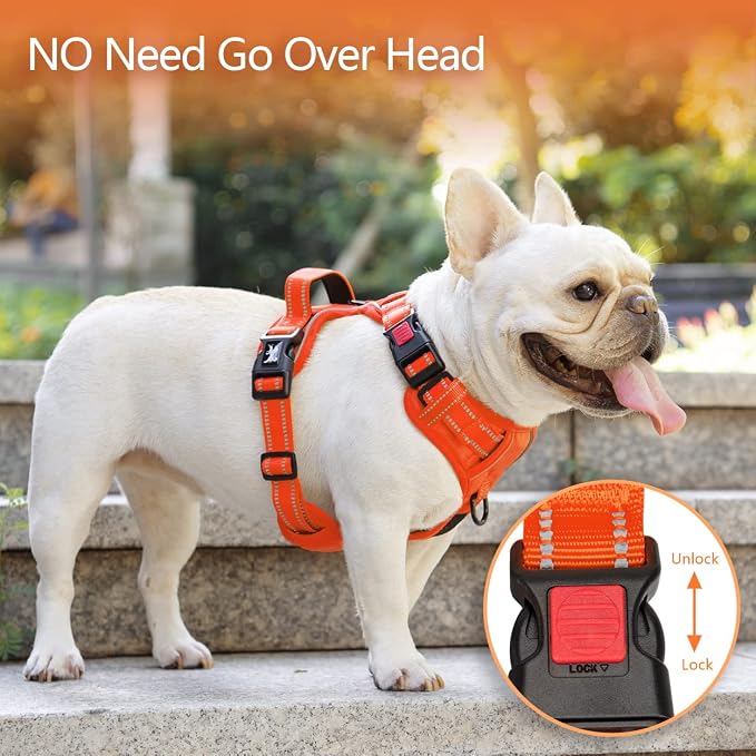 PoyPet No Pull Dog Harness, Reflective Vest with 2 Leash Clips & Handle | Lockable Neck Release Buckle, No Choke, Adjustable, Soft Padded, for Walking Training, Orange Matching Trim, Large