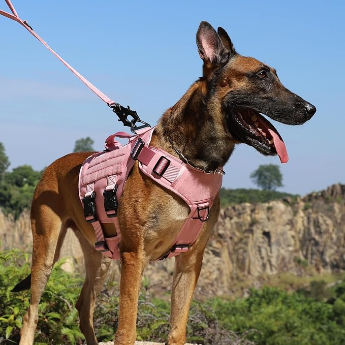 ICEFANG No Pull Tactical Dog Harness for Medium Dogs,Adjustable Dog Vest | Control Handle,MOLLE Panel,Front Hook,3 Leash Clips,Soft Padded,for walking training,Pink,Medium