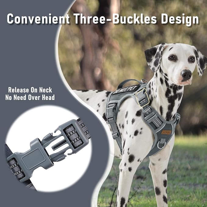AUNZO Service Dog Vest Harness with 2 Velcro Patches, No Pull Dog Harness for Walking Training Hiking, Metal D-Rings Easy on/Off Neck Buckle Reflective Strips Soft Padded Handle, Gray