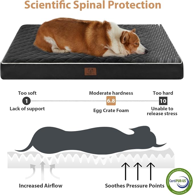 WNPETHOME Orthopedic Waterproof Large Sized Senior Dogs Bed for Comfy Sleep | Washable Ped Bed with Removable Cover, Multi-Needle Quilting Large Dogs Crate Bed for Dog Relax, Black 36x27 Inch