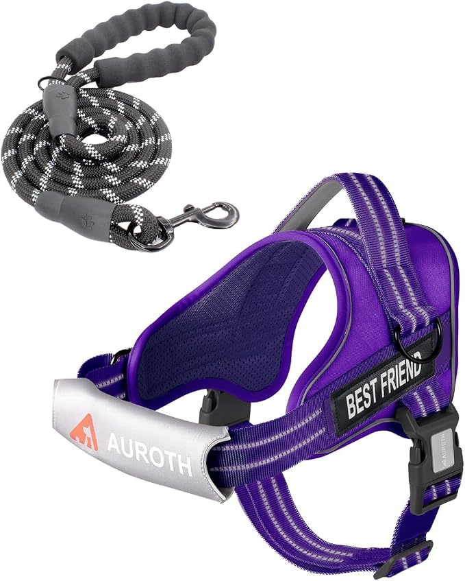 AUROTH Dog Harness for Large Dogs No Pull Tactical Harness and Leash Set | with Leash Clips, LED light clip, Breathable Mesh Padded No Choke, Easy Walking and Training, Purple, Large