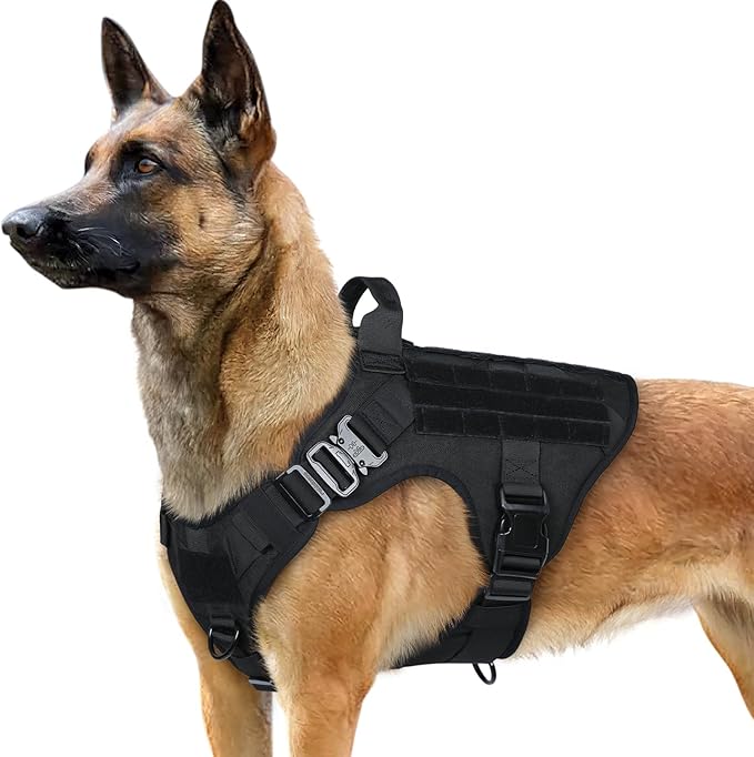 rabbitgoo Tactical Dog Harness for Medium, Heavy Duty Military No Pull Vest | Sturdy Metal Buckles, 5 Adjustments, Molle System, Powerful Pullers for Training, Hunting, Outdoor, Black, Medium