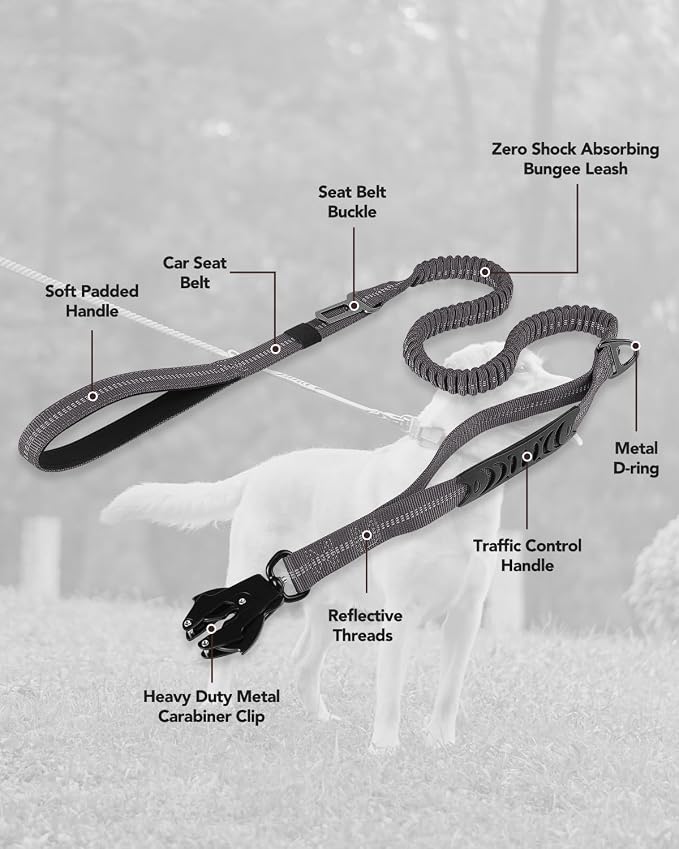 Joytale Tactical Bungee Dog Leash, Shock Absorbing No Pull, Gray | for Large Dogs That Pull, 2 Padded Handles for Control, Car Seatbelt Clip, Reflective for Night Safety, Metal Frog Clip
