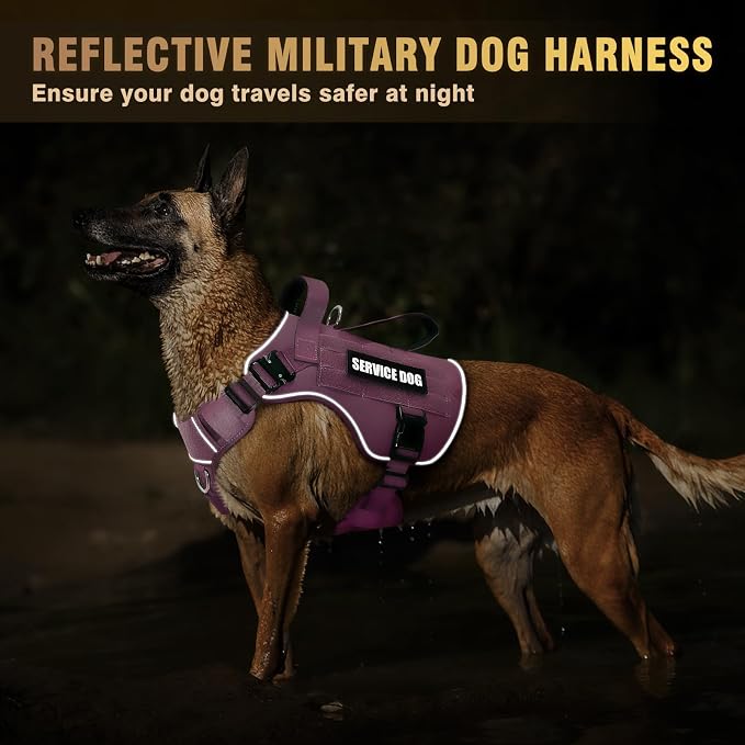 2X Metal Buckle Service Working MOLLE Dog Vest with 10 Pet Patches | Tactical Dog Harness for Medium Dog, No-pull Military Working Vest for Training Hunting Walking，2x D Rings for Leash Clip