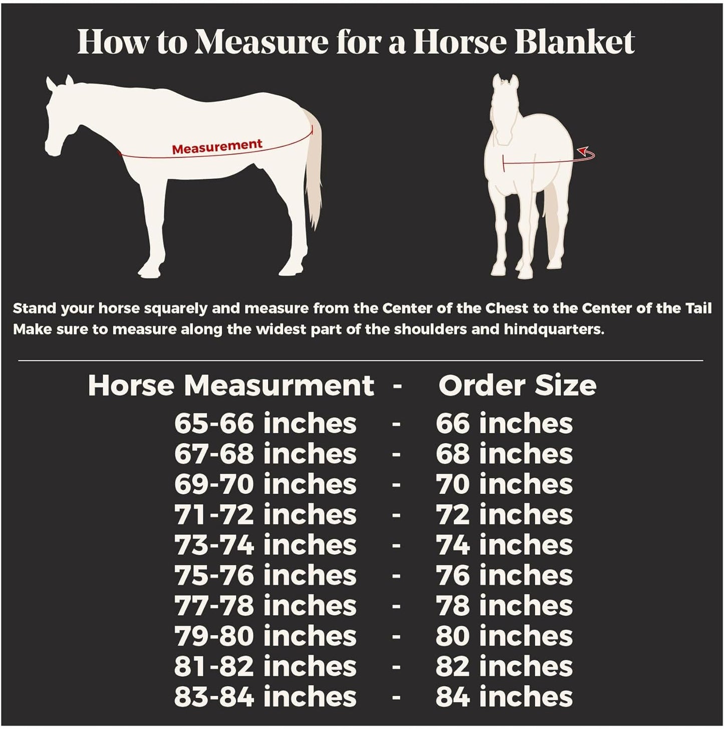 Schneiders Soft Interlock Mesh II Attached Neck Euro Bellyband Leg Shield Horse Fly Sheet | 80% UV Protection | SilverTek Lining