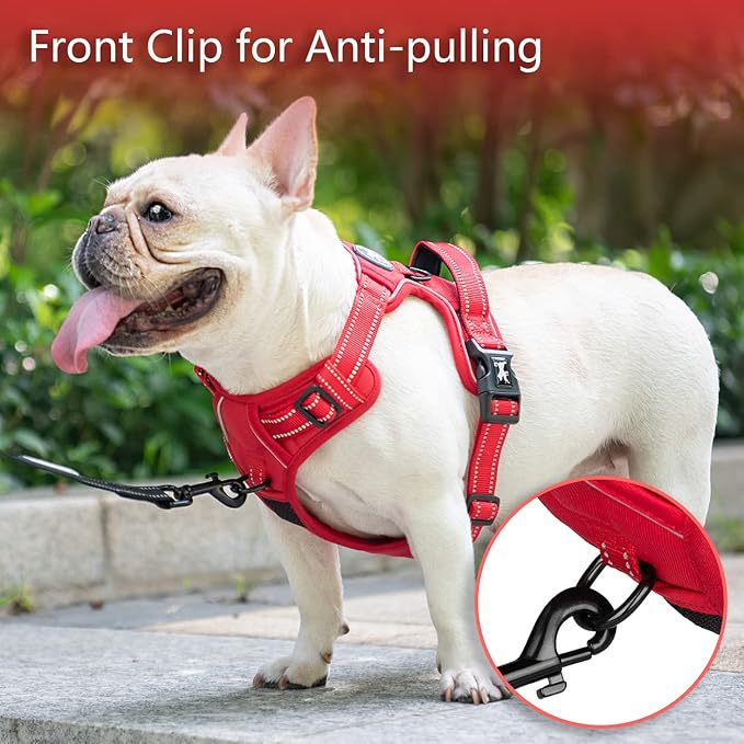 PoyPet No Pull Dog Harness, Reflective Vest with 2 Leash Clips & Handle | Lockable Neck Release Buckle, No Choke, Adjustable, Soft Padded, for Walking Training, Red Matching Trim, X-Large