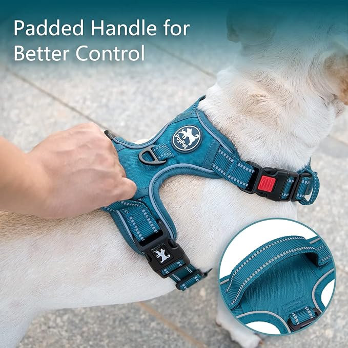 PoyPet No Pull Dog Harness, Reflective Vest with 2 Leash Clips & Handle | Lockable Neck Release Buckle, No Choke, Adjustable, Soft Padded, for Walking Training, Tumalo Teal, Small