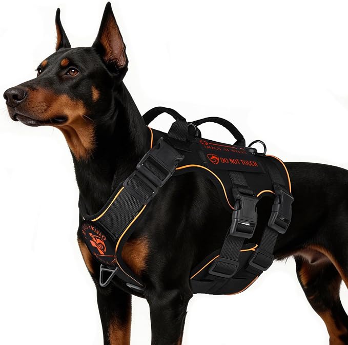 Reflective Tactical Dog Harness with AirTag Holder&3 Pet Patches, Black L | Heavy Duty No Pull Dog Harness, Adjustable Dog Harness, Two Handles, Breathable Mesh Padding, Resists Dirt and Stay Clean