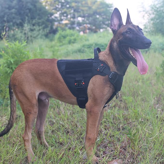ICEFANG Tactical Dog Harness for Large Dogs,Full Metal Buckles Dog Vest | with MOLLE, Reflective,Adjustable,2 Leash Clips,Control Handle,No Pull,Soft Padded,Black,Large