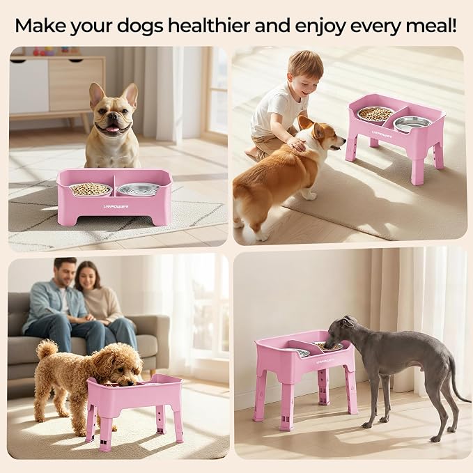 URPOWER Mess Proof Elevated Dog Bowls, Splash Guard Raised Bowl Stand | 4 Adjustable Heights, 2 Stainless Steel Bowls, Food & Water Separation, Non-Slip Base, Foldable Design for Small Dogs