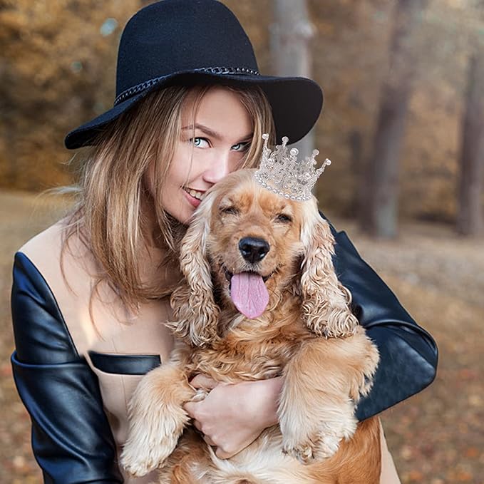 PET SHOW 2pcs Medium Dog Crown Headband Puppies Cat Hat for Birthday Party Silver Gold Rhinestone Faux Pearl Crown for Pets Wedding Hair Accessories Photo Prop Costume