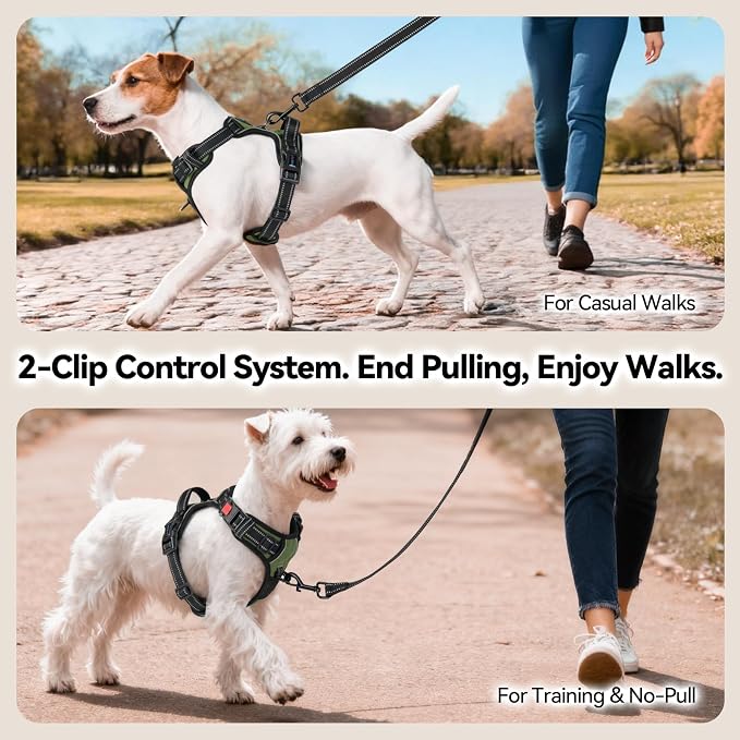 No Pull Dog Harness with Handle Front & Back Clip, Easy on | Lockable Snap Buckle at Neck, Adjustable Reflective Vest with Handle for Small Medium Large Dogs (XL, Misty Green)