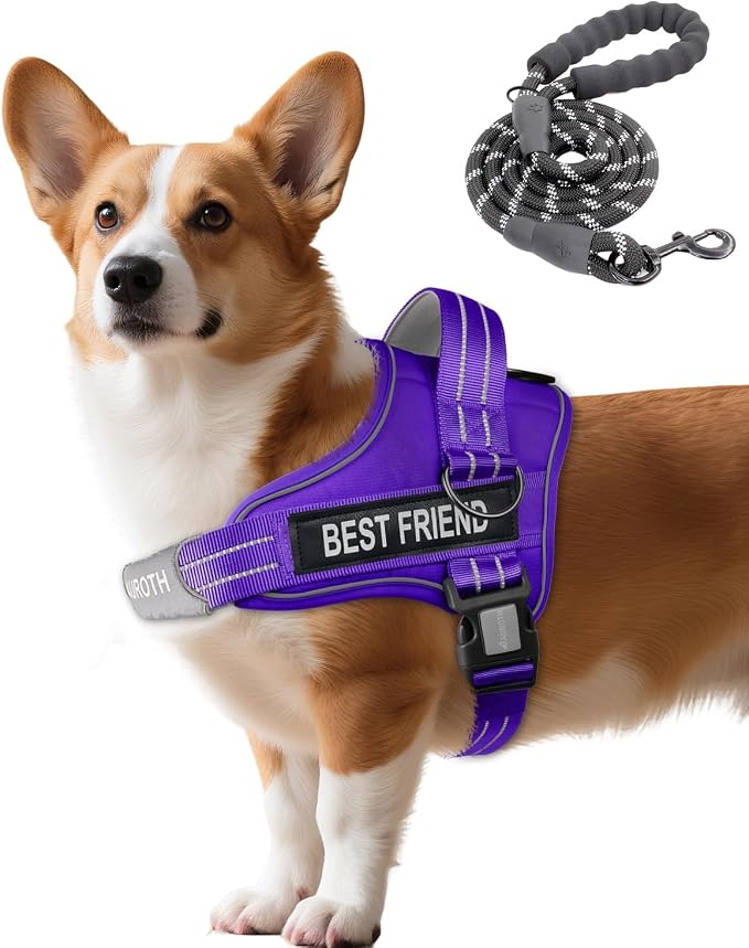 AUROTH Dog Harness and Leash Set for Medium Sized Dog, No Pull Dog Vest | with 5.25FT Dog Leash, Breathable Soft Padded, No choke, Reflective Tactical, Easy to Put on & Take Off - Purple Medium