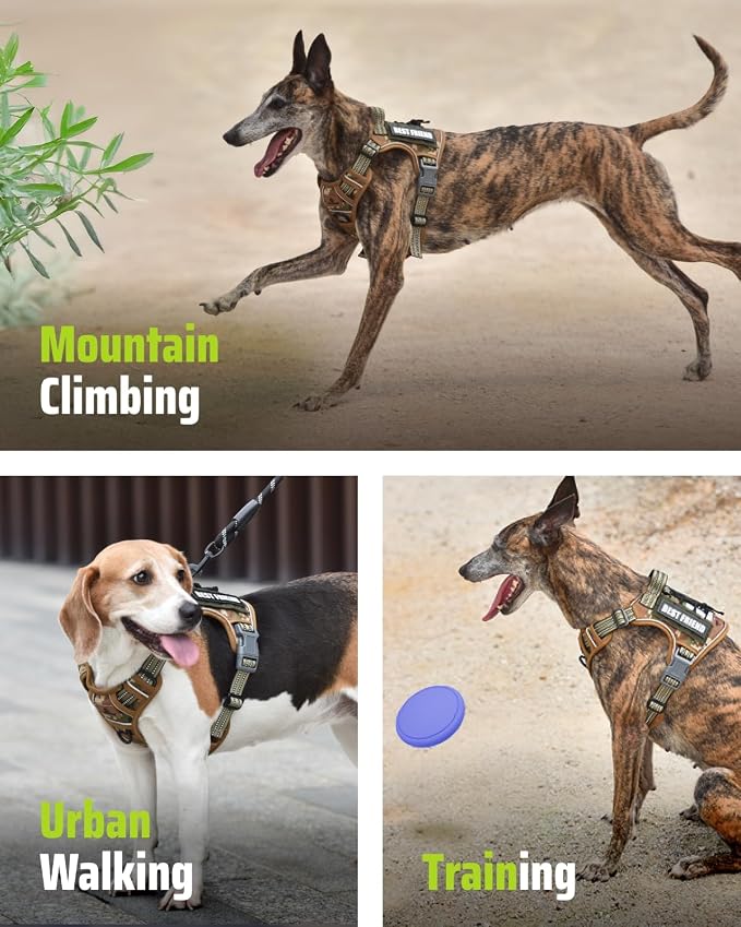 Tactical Dog Harness No-Pull Military Vest for Medium & Large Dogs, Adjustable Reflective Escape-Proof Vest with MOLLE System, Handle Control for Training, Walking, Outdoor – Camo