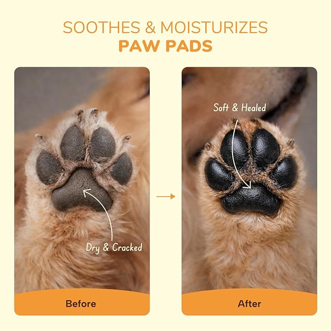 Lick-Safe Dog Paw & Nose Balm | 2.1 oz All Natural Wax with Coconut Oil & Shea Butter | Winter Snow, Road Salt & Hot Pavement Protector | Moisturizer & Soother for Dry, Cracked Pads & Snouts