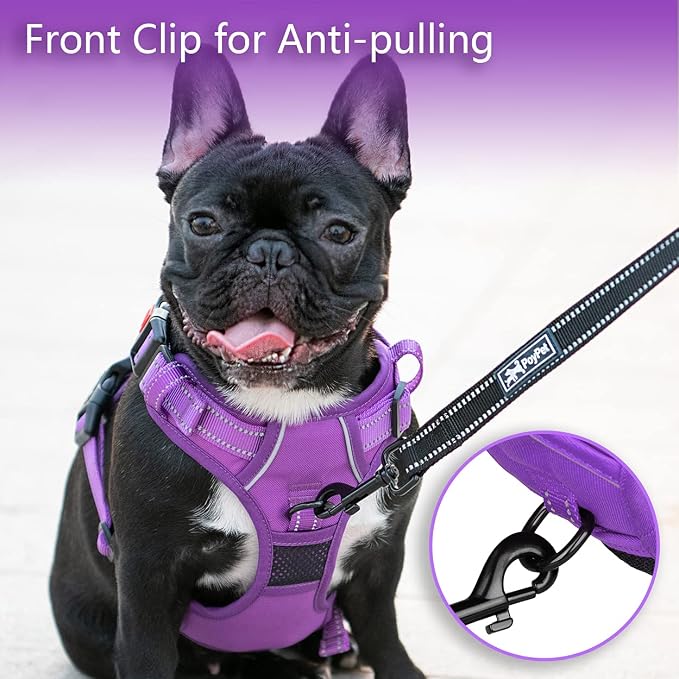 PoyPet No Pull Dog Harness, Reflective Vest with 2 Leash Clips & Handle | Lockable Neck Release Buckle, No Choke, Adjustable, Soft Padded, for Walking Training, Purple Matching Trim, Large