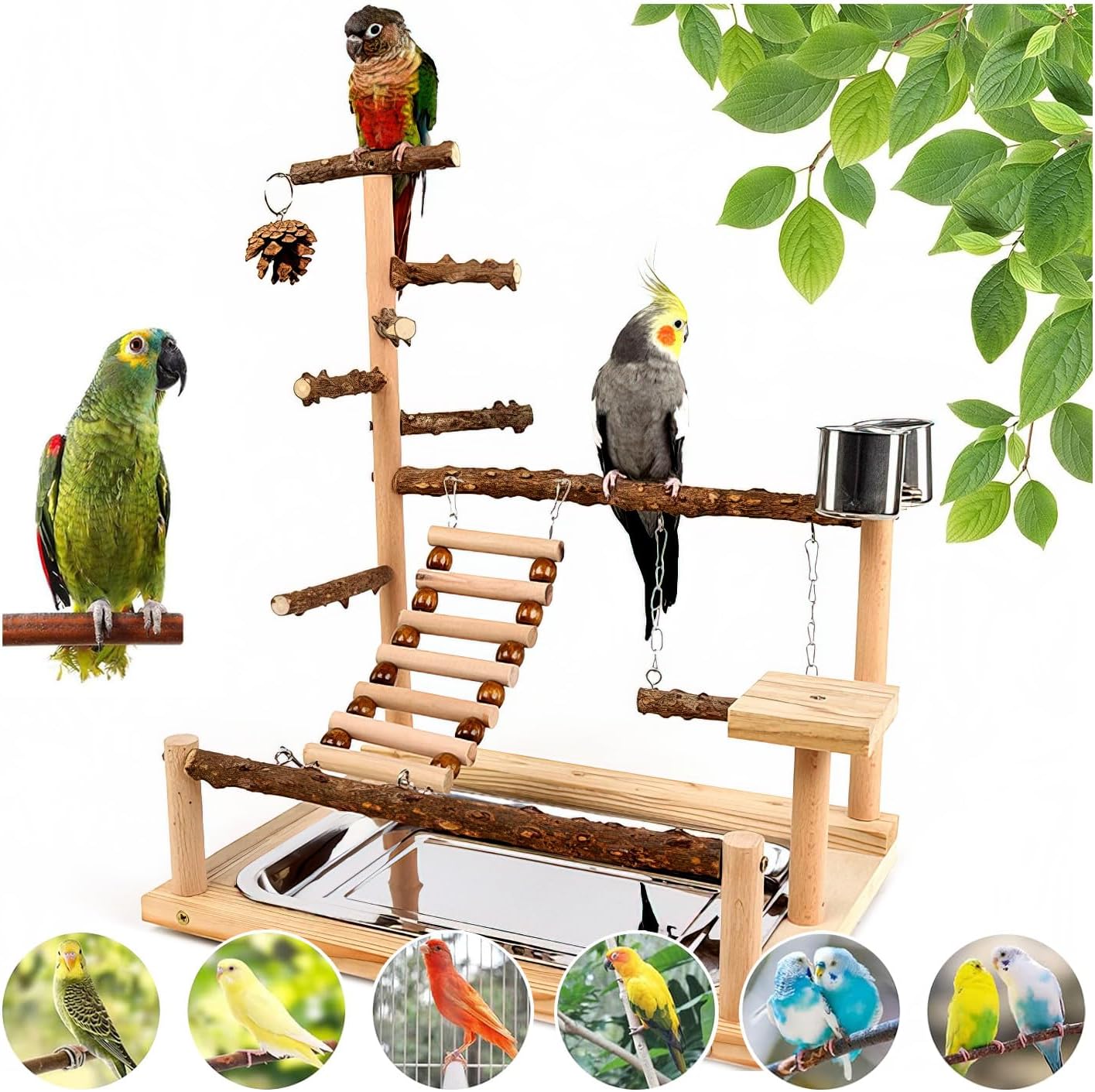 Bird Playground, Parrot Perch Stand, Natural Wood Bird Play Stands for Cockatiel Wood Perch Gym Playpen Ladder with Removable Tray and 2 Stainless Steel Cups, Bird Cage Accessories, Parrot Swing