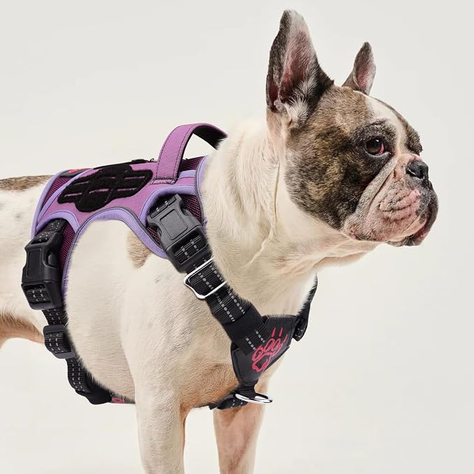 Petnanny Tactical Dog Harness No Pull Service Dog Vest S Purple | Tactical Dog Vest with breathable mesh & hook loop panel, no pull harness for walking training, adjustable fit