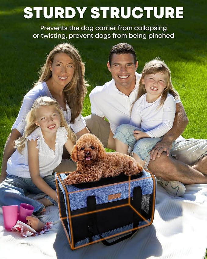 Foldable Cat Dog Carrier for Pets up to 15 Lb, Blue | Top & Side Entry, Soft-Sided Pet Carrier with Ventilated Anti-Scratch Mesh & Car Seat Buckle for Car Travel, 20×13×13 in