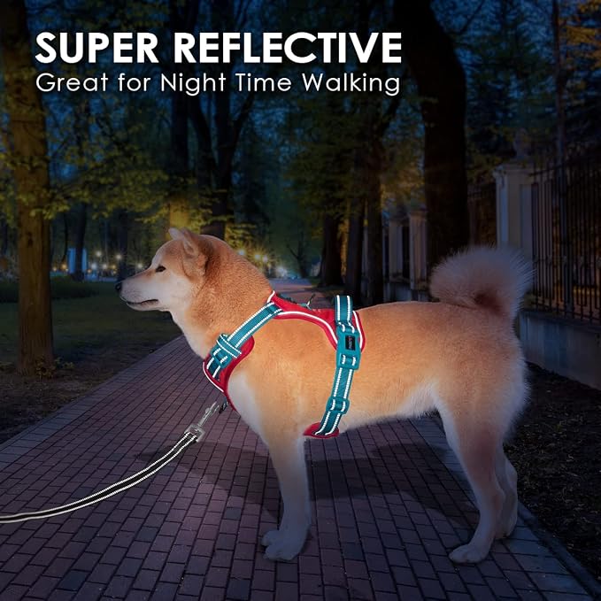 No Pull Dog Harness, Unique Colors Reflective Adjustable Dog Vest, with Soft Training Handle Metal Clips for Small Medium Large Dogs (Red Base & Teal Straps,XS)