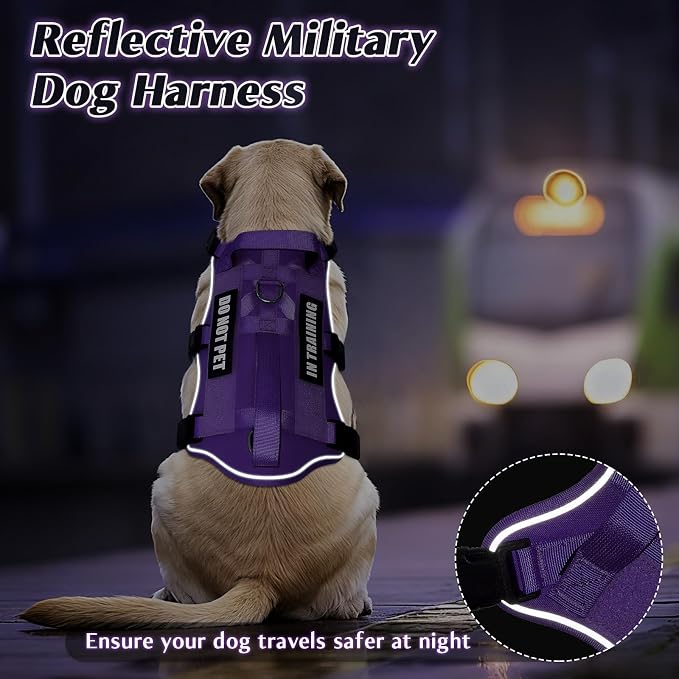 Escape Proof Dog Harness with Double Handle+4 Removable Patches | Service Working Molle Harness with Double Handle for Medium Dogs, Tactical Pet Reflective Vest for Walking Hiking Hunting