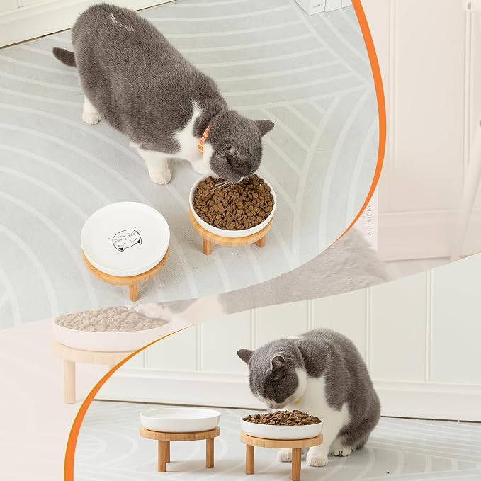 Lusifaco Shallow Elevated Cat Bowls,5.9 Inch Wide Raised Ceramic Cat Dishes with Bamboo Stand, Whisker Friendly Pet Water or Food Plates Feeding Station for Indoor Cats, Kitten(White,Set of 1)
